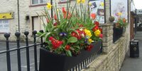 Fower Box-20070712